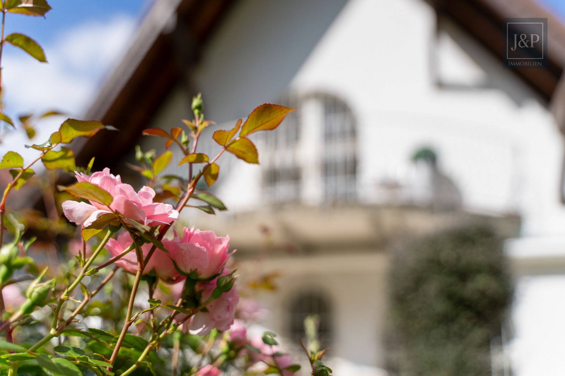 Freistehendes Einfamilienhaus in direkter Waldrandlage von Dreieich-Buchschlag! - Außenansicht